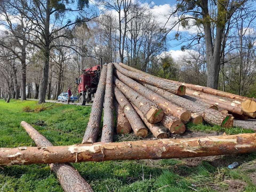 transport drewna, dłużyce, Wiatrowiec, Witki, powiat bartoszycki