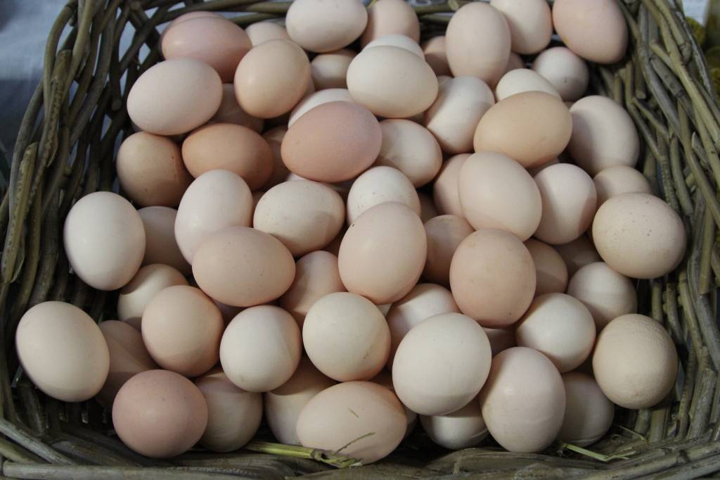 ptasia grypa, H5N8, jaja, ceny jaj, nowe przypadki ptasiej grypy, podtyp H5N8, drób, wirus, grypa ptasia