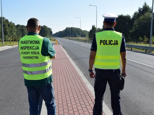 PIORiN, środki ochrony roślin, pestycydy, materiał siewny, nawozy