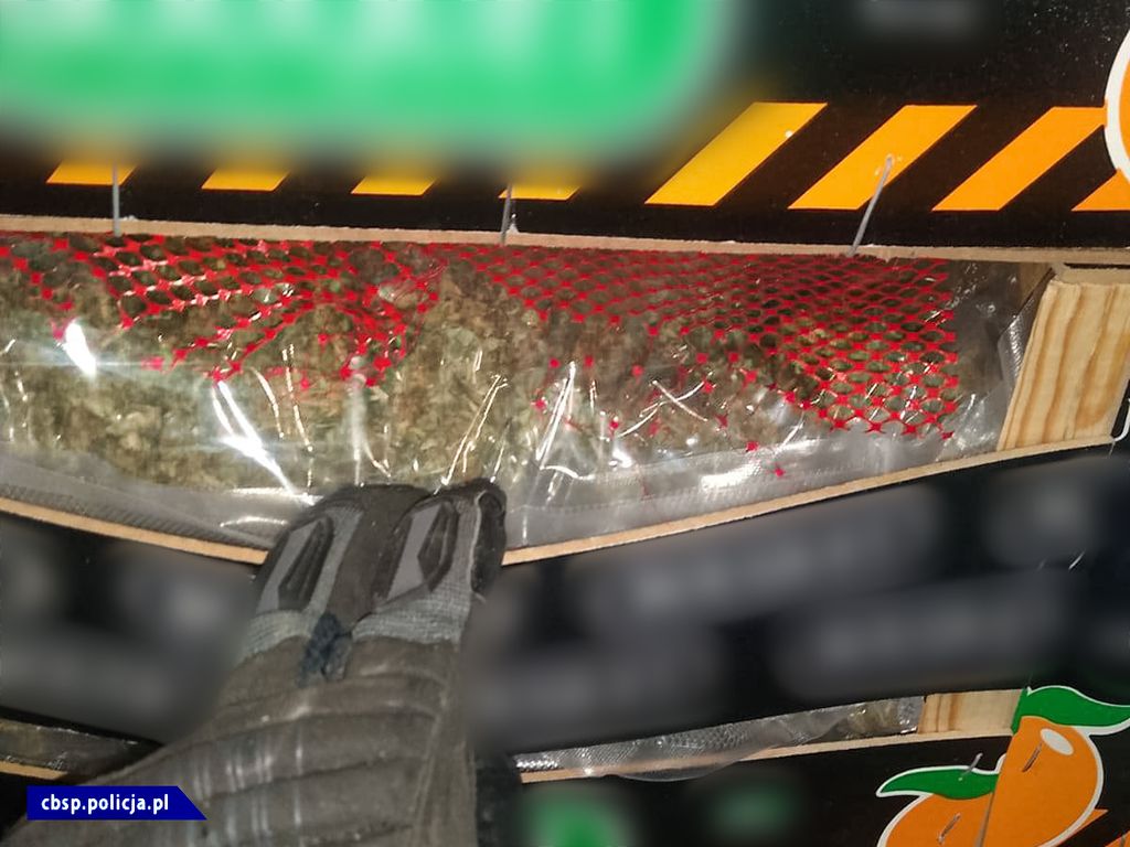 marihuana w transporcie pomarańczy, CBŚP, KAS, transport owoców
