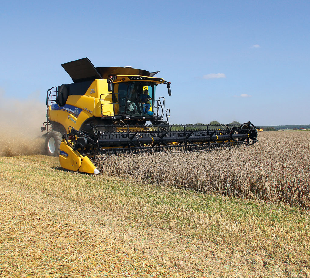 zbiory zbóż, eksport zbóż, import zbóż, zboża, pszenica, kukurydza, żyto