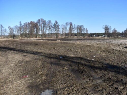 pole, ścieki, osady ściekowe