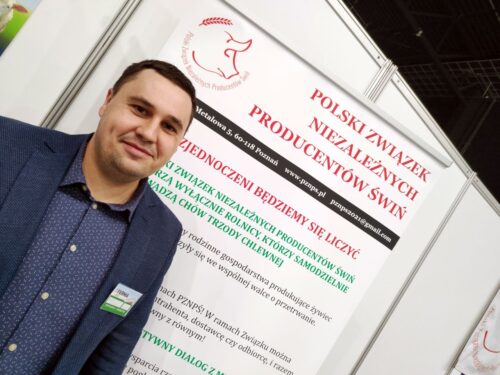 Polski Związek Niezależnych Producentów Świń, zboże, eksport zbóż, ziarno, trzoda chlewna, pasze, żywienie świń,