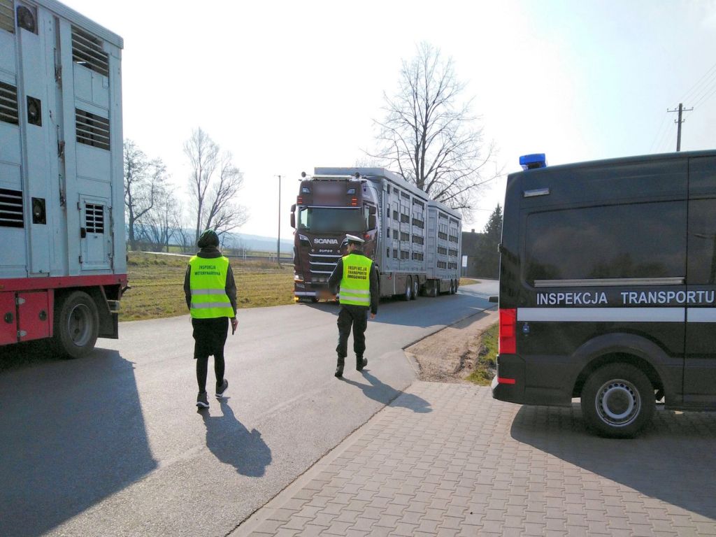 transport zwierząt, zwierzęta hodowlane, inspekcja weterynaryjna, WITD Poznań