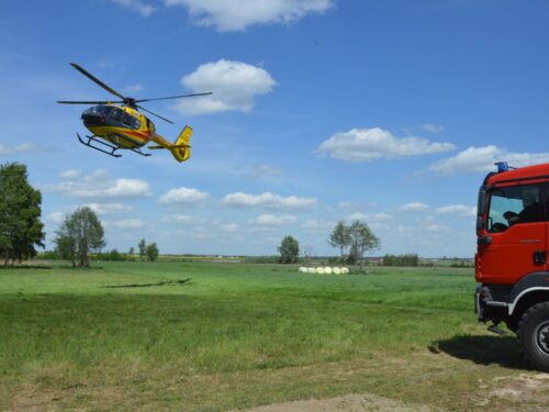 zakłady mięsne Animex Food, Koryta, powiat łęczycki, Andrzej Pankiewicz
