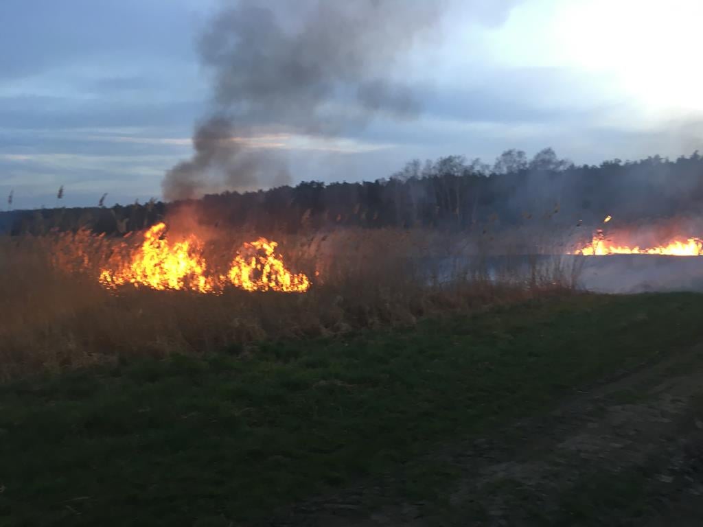 strażak podpalacz, OSP, gmina Iława, pożary traw, Joanna Kwiatkowska