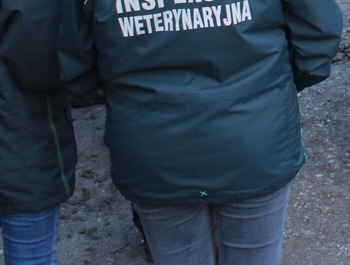 lekarze weterynarii z Ukrainy, Krajowa Rada Lekarsko-Weterynaryjna