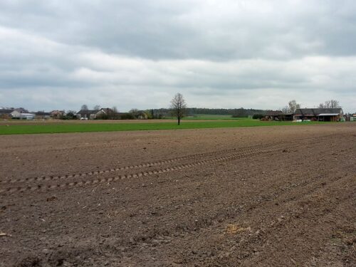 ustawa oddłużeniowa, KOWR, dugi gospodarstw, przejęcie ziemi