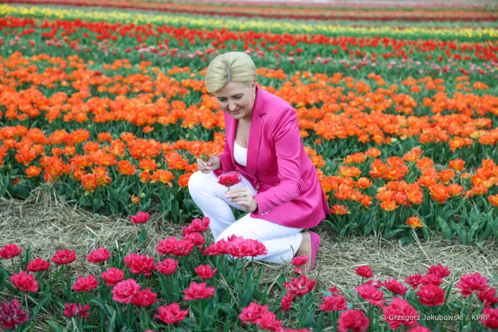 Agata Kornhauser-Duda, uprawa tulipanów, Chrzypsko Wielkie, Bogdan Królik