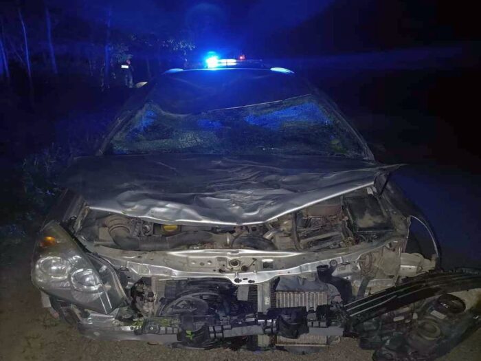 zderzenie z żubrem, żubr wtargnął na drogę, Zawóz, powiat leski