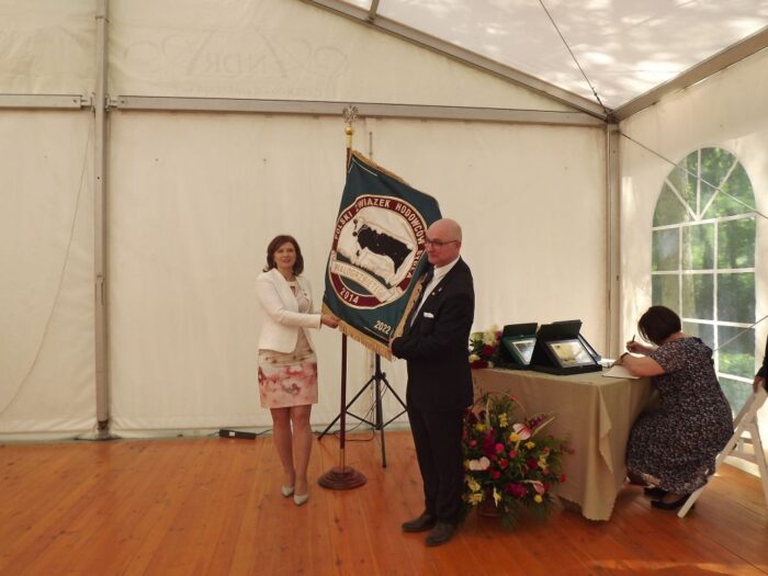 bydło białogrzbiete, krowy, cielęta, Polski Związek Hodowców Bydła Białogrzbietego, PFHBiPM, buhaje, geny, hodowcy