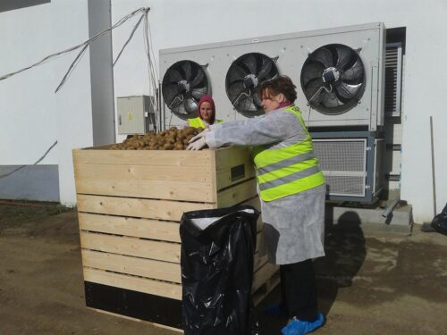 PIORiN, świadectwa fitosanitarne, towary pochodzenia roślinnego, jabłka, warzywa i owoce