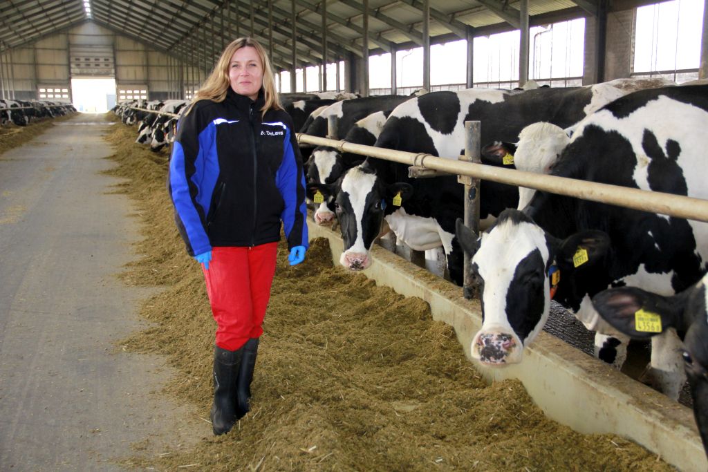 Rol-Plant, Bierzwnica, Iwona Jager, hodowla bydła mlecznego, produkcja mleka, ferma bydła, separat, biogazownia,