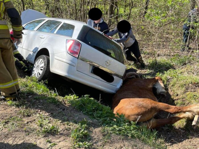 zaprzęg konny,  Nowinki , powiat wołomiński, OSP Jadów