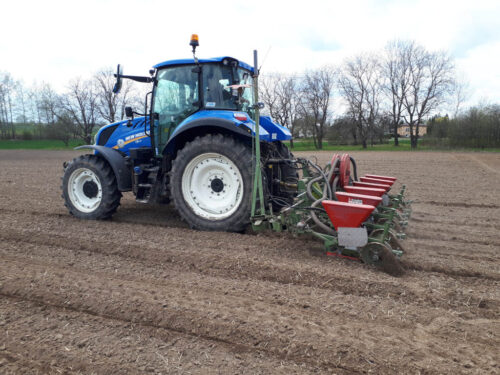 siewnik, ciągnik, pole, kukurydza, Sahryń