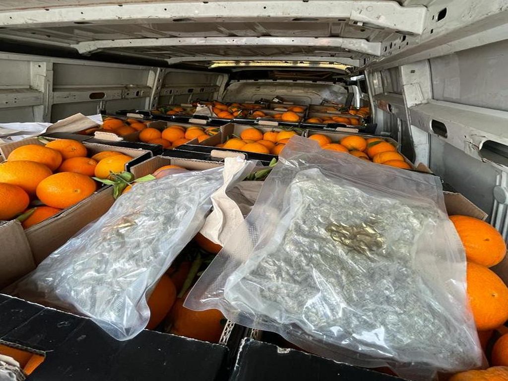 pomarańcze, przemyt narkotyków