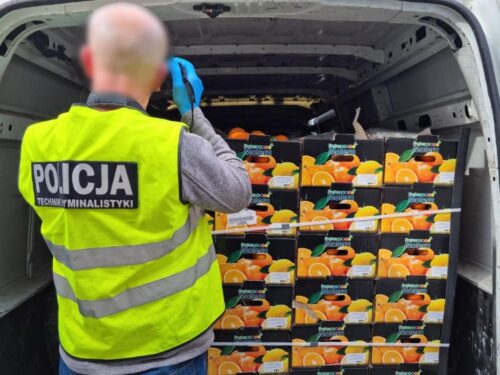 pomarańcze, przemyt narkotyków