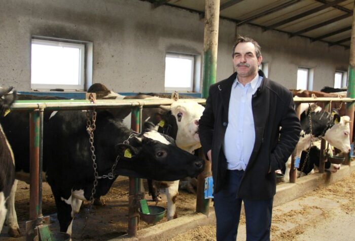 producenci opasów, wołowiny, mięso wołowe, opas bydła hf, mieszańce, żywienie cieląt mlekiem pełnym,