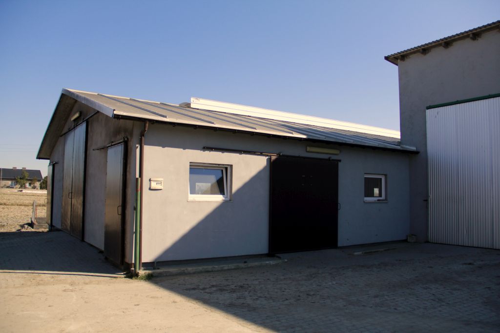 producenci opasów, wołowiny, mięso wołowe, opas bydła hf, mieszańce, żywienie cieląt mlekiem pełnym,