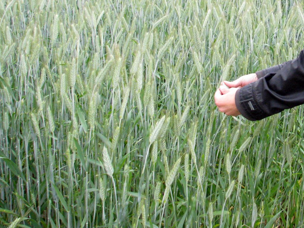 RPO, KRUS, Ryszard Bartosik, PROW 2023-2027, ubezpieczenie w KRUS