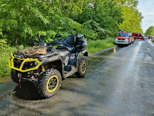 krowy uciekły z gospodarstwa, Machcin, powiat kościański, hodowla bydła