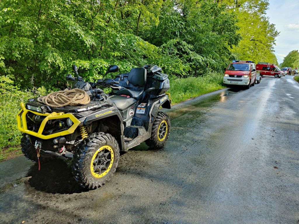 krowy uciekły z gospodarstwa, Machcin, powiat kościański, hodowla bydła