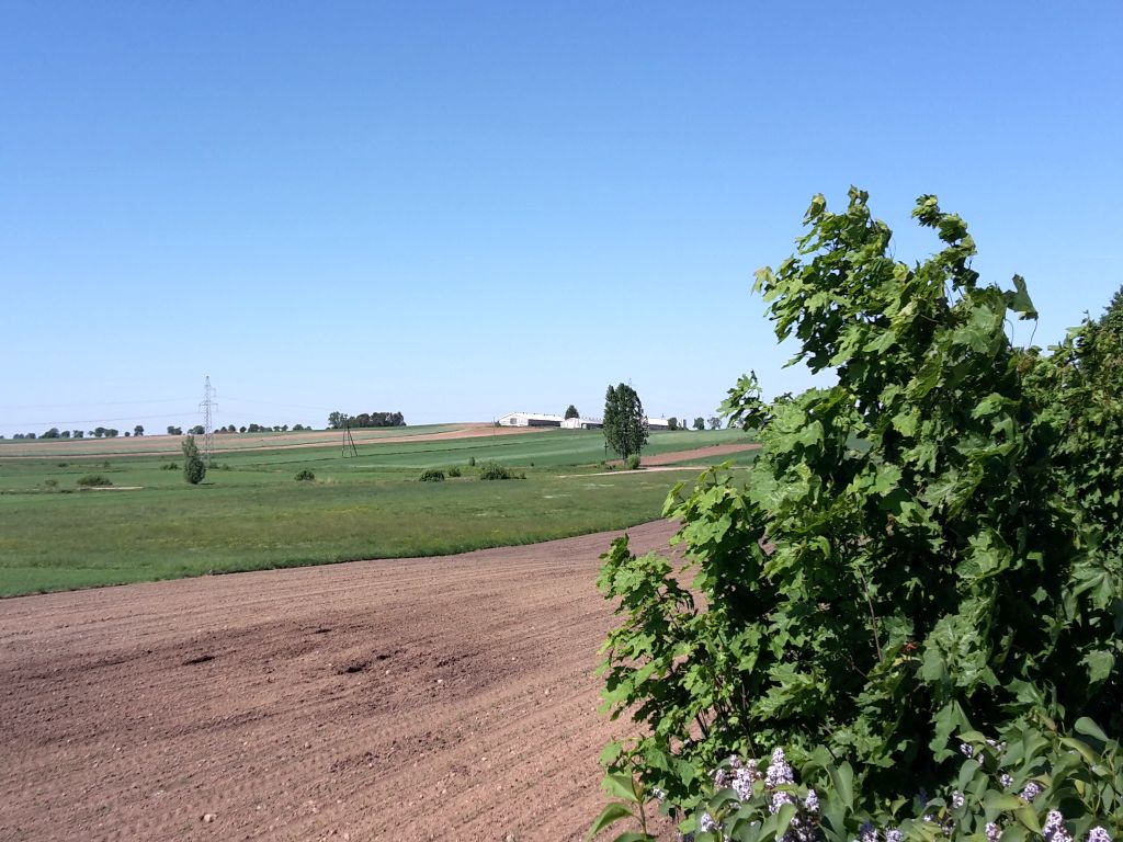 derogacja, produkcja rolna na ugorach, dopłaty bezpośrednie, e-wniosek o dopłaty