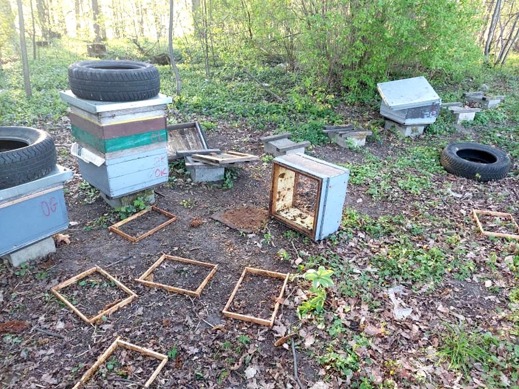 zniszczona pasieka., gminia Zalewo, KPP Iława, pszczelarstwo