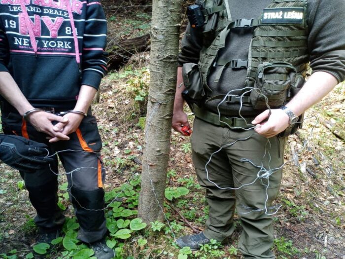 kłusownictwo, leśnictwie Ulucz, Nadleśnictwo Dynów, Edward Marszałek, RDLP w Krośnie