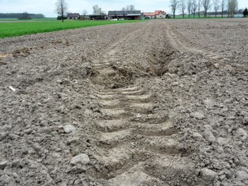 nawożenie, NIK, raport, gleba, uprawa, badanie gleby