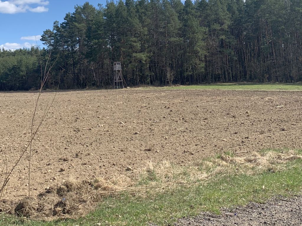 polowania, łowiectwo, myślwi, polowanie z krótką bronią