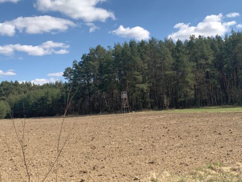 prawo łowieckie, szkody łowieckie, dzierżawa obwów łowieckich, Edward Siarka