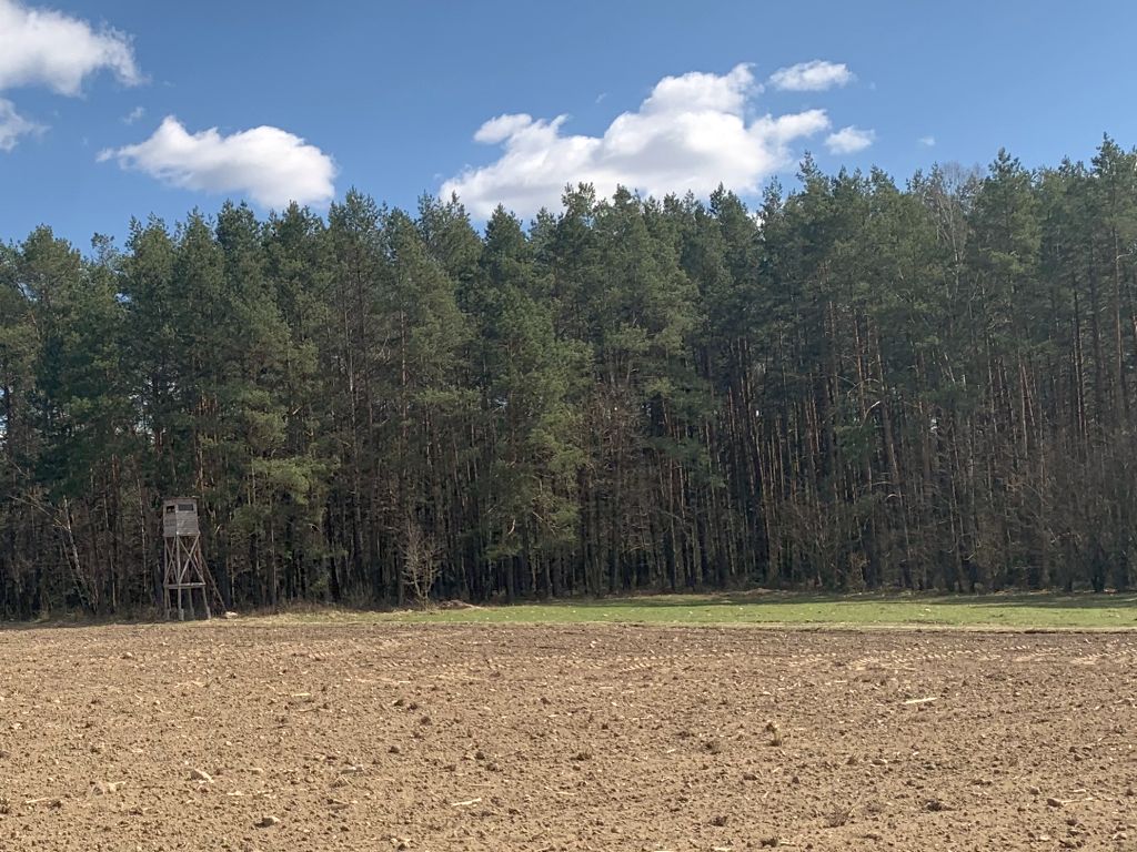 prawo łowieckie, szkody łowieckie, dzierżawa obwów łowieckich, Edward Siarka