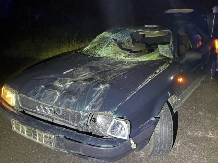 konie na drodze, Kowale Oleckie, Pogorzel , KWP Olsztyn