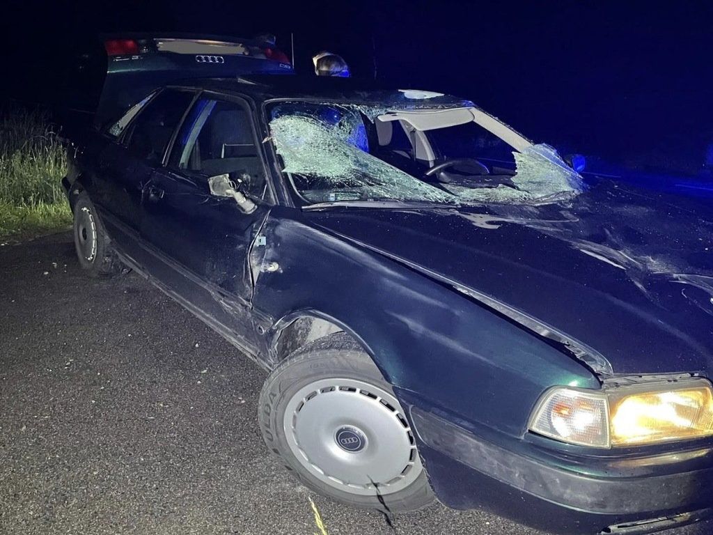 konie na drodze, Kowale Oleckie, Pogorzel , KWP Olsztyn