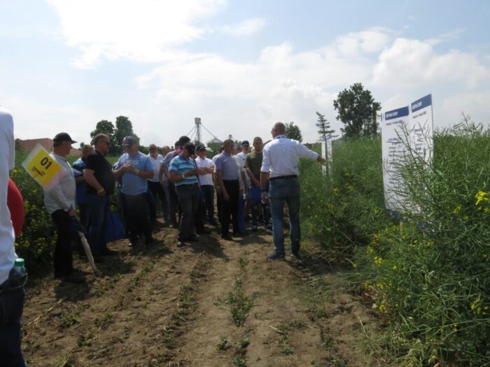 Chemirol, Dni Pola 2022 w Suchodębiu, warsztaty polowe, nawożenie roślin