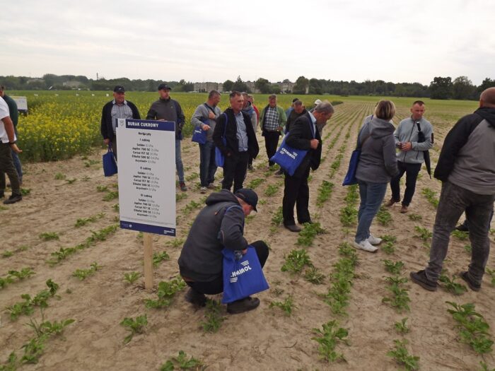 Chemirol, Michalów, warsztaty polowe, Alicja Malewicz-Pełczyńska, Krzysztof Bzdęga