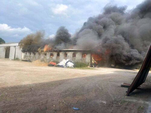 pożar chlewni, MIrosław, KP PSP Piła, Michał Kalkowski