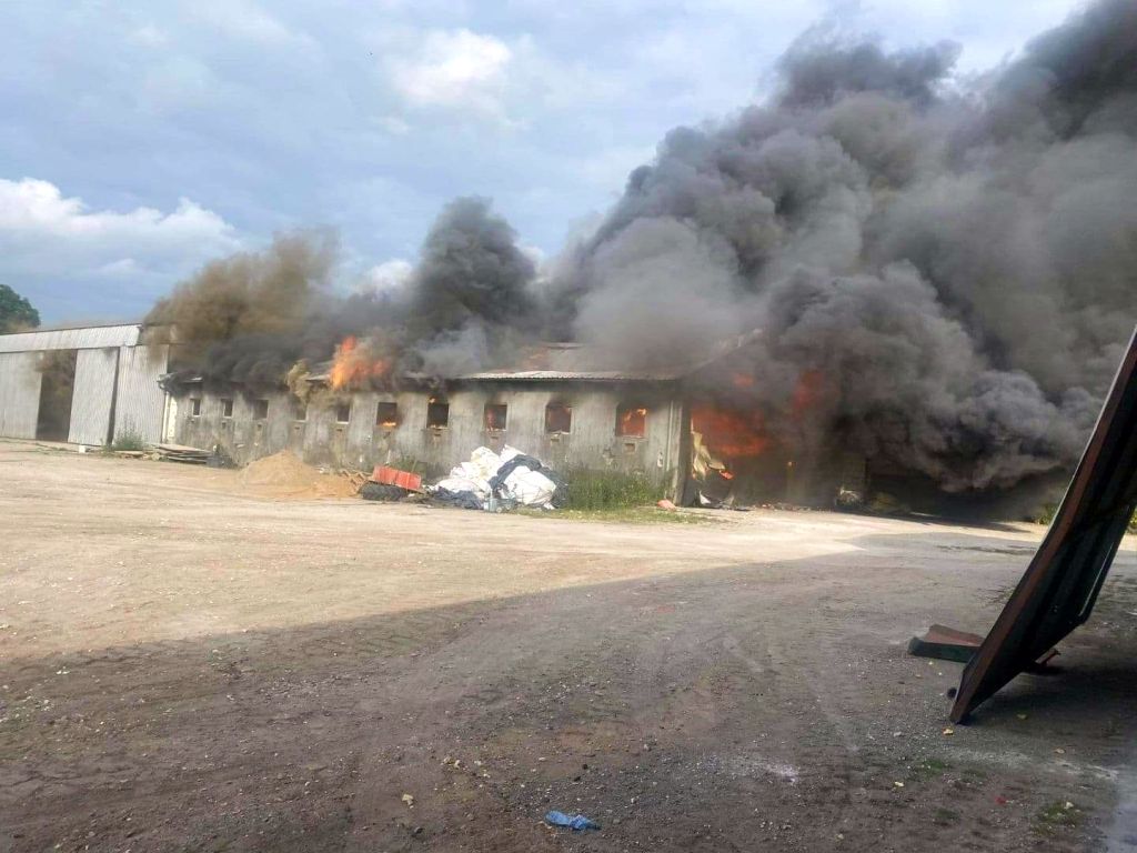 pożar chlewni, MIrosław, KP PSP Piła, Michał Kalkowski