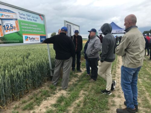 Danko, Syngenta, Szelejewo, rośliny bobowate, odmiany zbóż