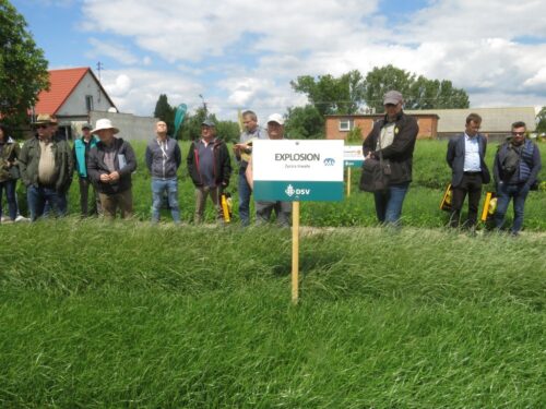 Saaten-Union Polska, Rapool Polska, DSV Polska, Spytkówki, rejestracja roślin