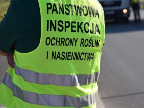 sadownictwo, Związek Sadowników RP, zbiory owoców, kontrola owoców z importu