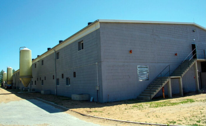 piętrowa chlewnia, lochy, maciory, prosięta, warchlaki, płynne żywienie, Pellon, Inter-Agri, lochy prośne