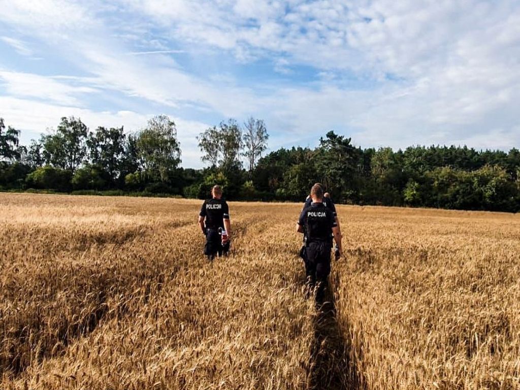 złodziej drewna, straż leśna, gmina Jarocin, Nadleśnictwo Rozwadów, KPP Nisko