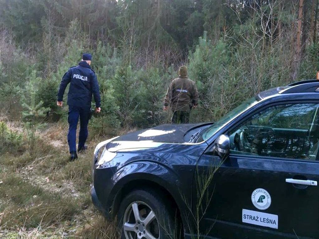 złodziej drewna, straż leśna, gmina Jarocin, Nadleśnictwo Rozwadów, KPP Nisko