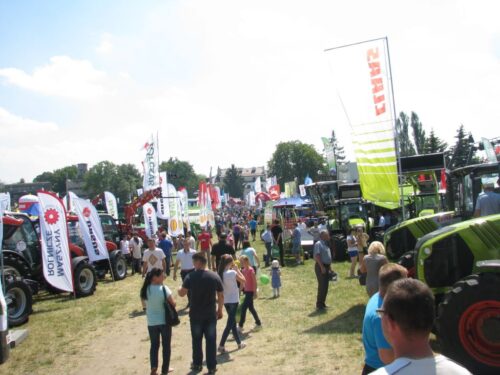 Krajowe Dni Pola, Mazowiecki Ośrodek Doradztwa Rolniczego, Płońsk, Poświętne