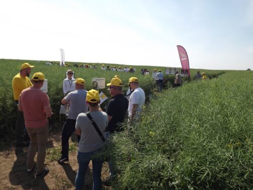 TeamAgro Kuczyńska, KZPRiRB, Ewelina Spłochniarska, Spotkania Rolników w Wiszniowie