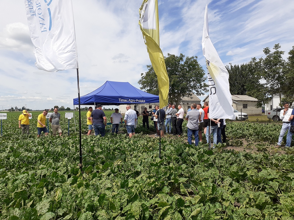 Panoramy Pól TimacAgro, Ślipcze, powiat hrubieszowski, Marcin Wieremczuk
