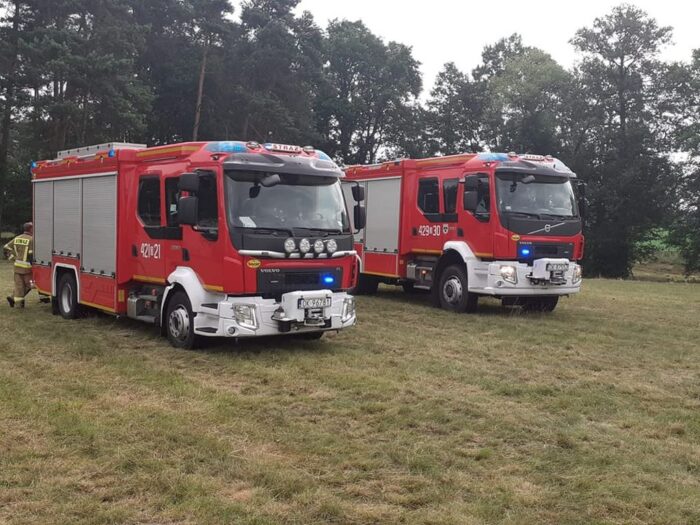 koń porażony prądem, Miejsce Kłodnickie, Kędzierzyn-Koźle