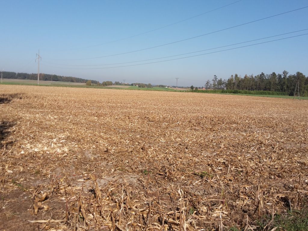 pomoc suszowo-covidowa, wsparcie dla rolnictwa, Podlaska Izba Rolnicza, arimr